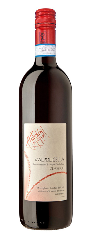 ANTOLINI