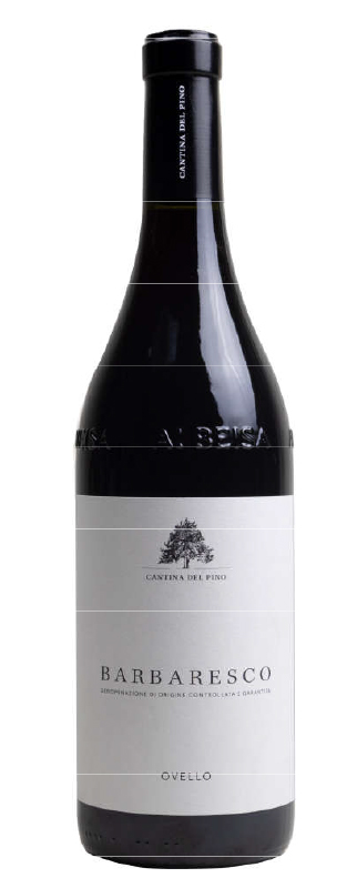 PINO BARBARESCO OVELLO