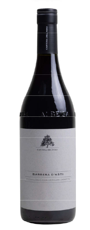 PINO BARBERA ASTI